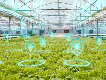 Smart Greenhouse